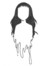Cyllene