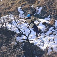 Մարինե Ղազարյան