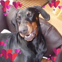 Flame Les Deux Peupliers