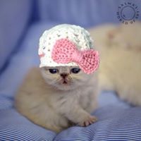 غالية الغفاري