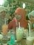Lha Wulan
