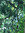 Jenny | 7 comments