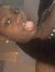 Jakia W...
