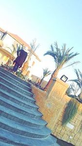 حلا الاحمد