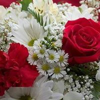 رقية الموسوي