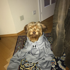 Karl-Heinz Breinsperger