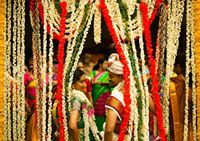 Darshna Mahadevan