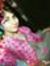Aparna ...