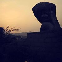 أحمد القرني