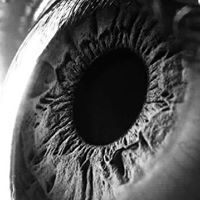 هديل السبيعي.