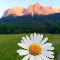 مشعل النعيمي