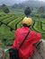 Arief H...