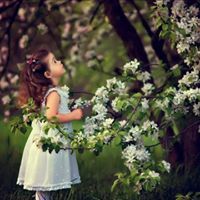 Aesha Glal