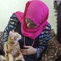 عايده داود سالم