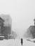 Gyula T...