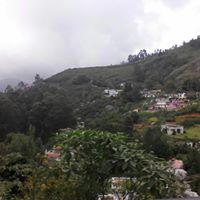 Saniya Anmol