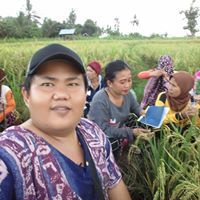 Pong Palele