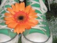 κυριακή πι.