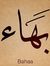Bahaa S...