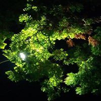 Narayanan Dharmalingam