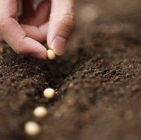 مؤمنة دحروج