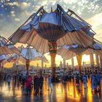 Hisham Shams