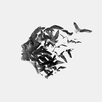 Emy Ahmed