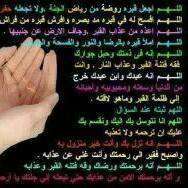 Ahmed Omany