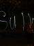 Sully C...