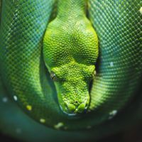 Екатерина Прокофьева