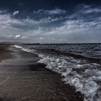 Аня Лотоцька