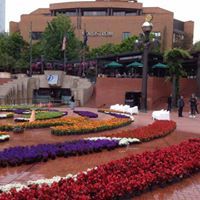 صالح الهذيل