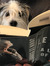 County Bookworm