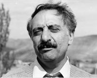 سەردار لەیلاخ