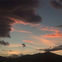 Хлари Хлари