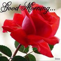 Pradeep Solanki