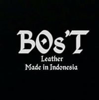 Bos Irma