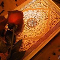 Heba Ezzat Hashem Osman