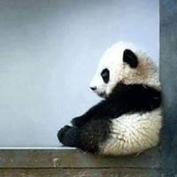 Madeha Abdullah Abdelhaq