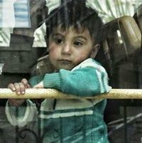Alaa Morad