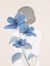 Thuy Ng...