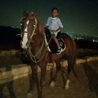 ابوسفيان أبن العلاقي