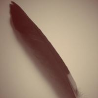 สมสมร นอนสบาย