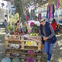 თაია გოგოჭური