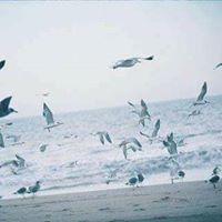 رقية الإيمان