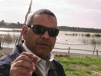 Ezzeldin Ahmed