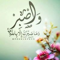 على عبدالحميد