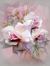 Kathy Harris
