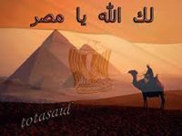 Abo Amr