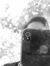 Fahrul ...